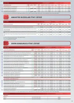 16.10.2025 tarihinden itibaren geçerli olan Arçelik kataloğu önizlemesi | Sayfa: 39 | Ürünler: Buzdolabı, Dondurucu