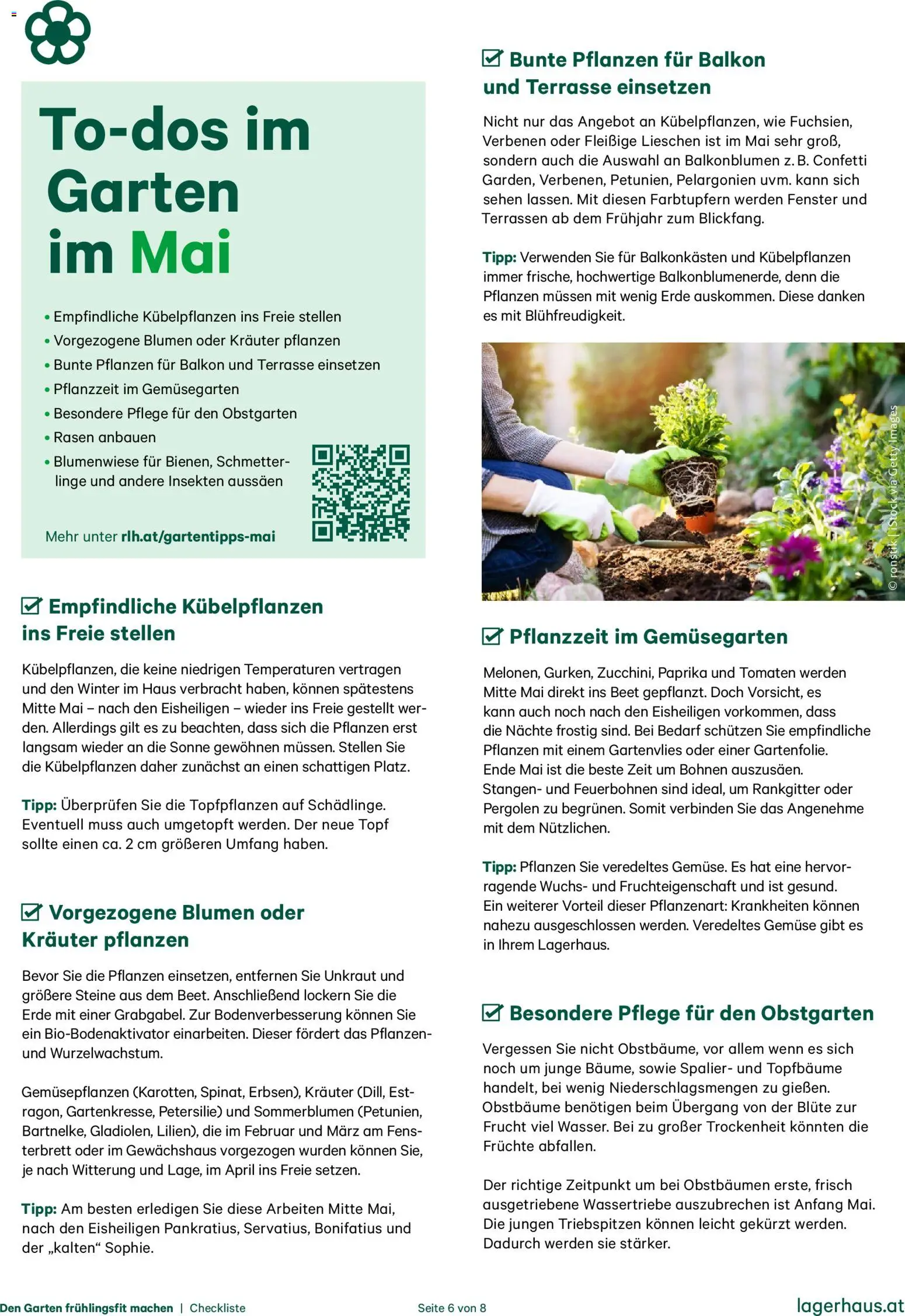 Lagerhaus  Den Garten fruehlingsfit machen gültig ab 01.01.2026 | Seite: 6 | Produkte: Gemüse, Petersilie, Tomaten