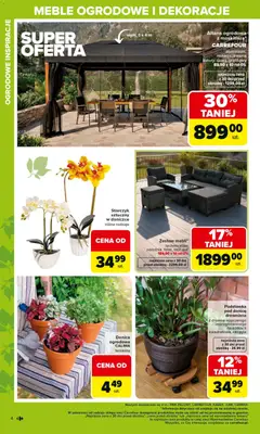 Pogląd oferty "Carrefour gazetka - Ogród" - ważna od 02.03.2026 | Strona: 4