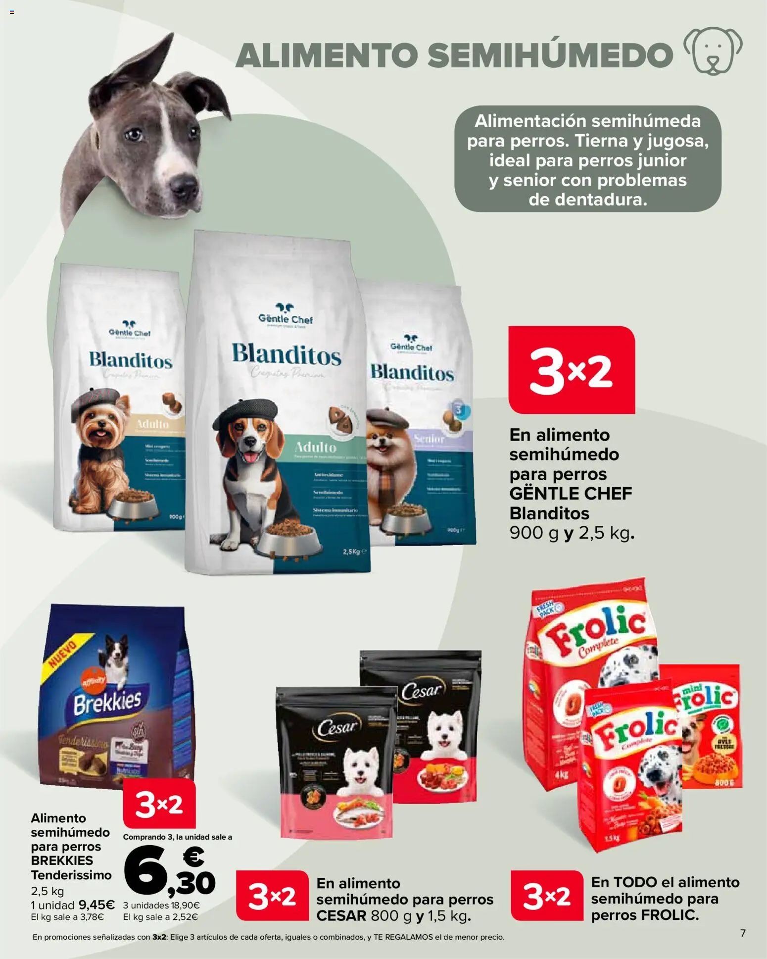 Carrefour folleto │ válido desde el 28.10.2025 | Página: 7 | Productos: Té