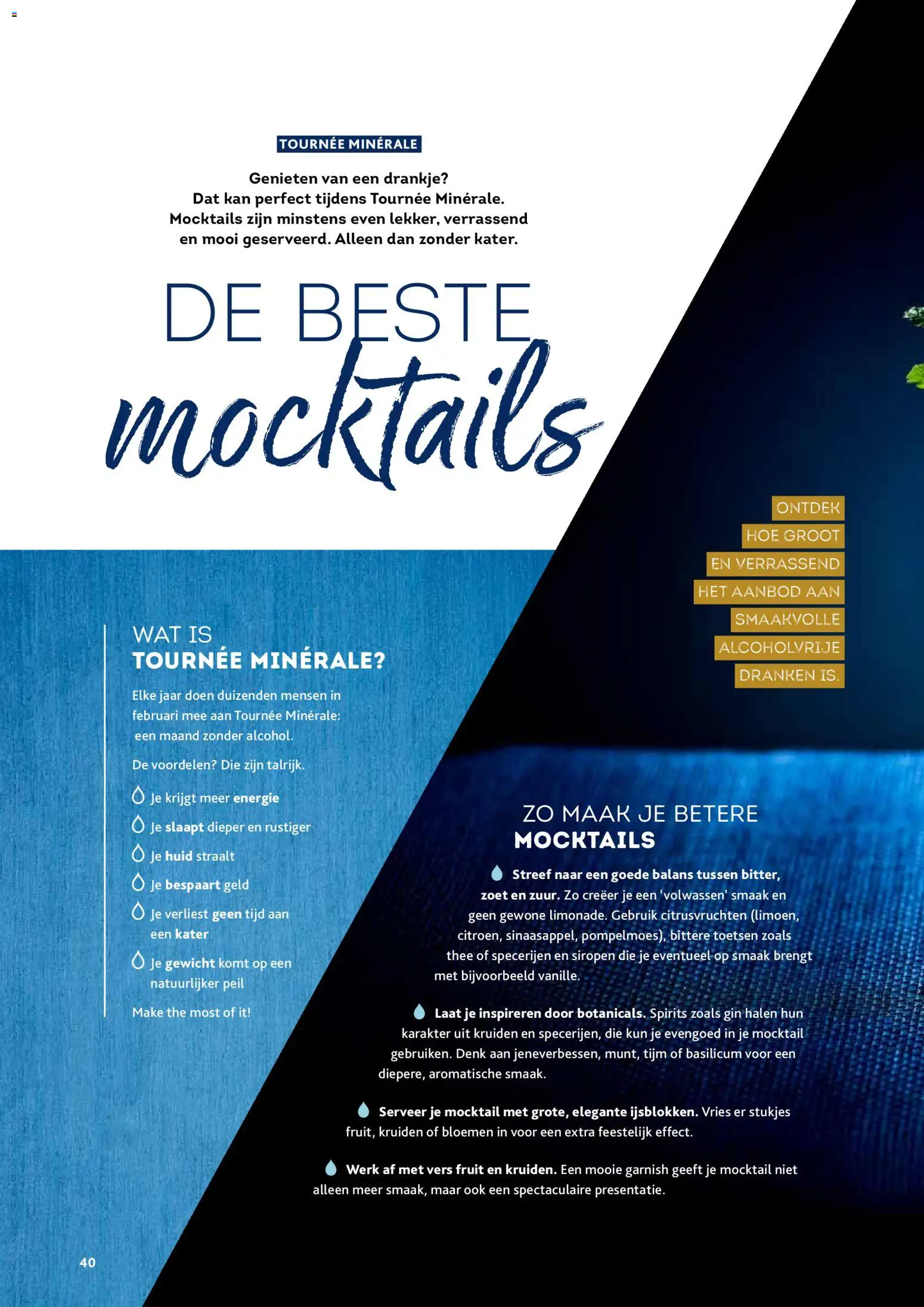 {H1} | Pagina: 40 | Producten: Bloemen, Gin, Fruit, Kan