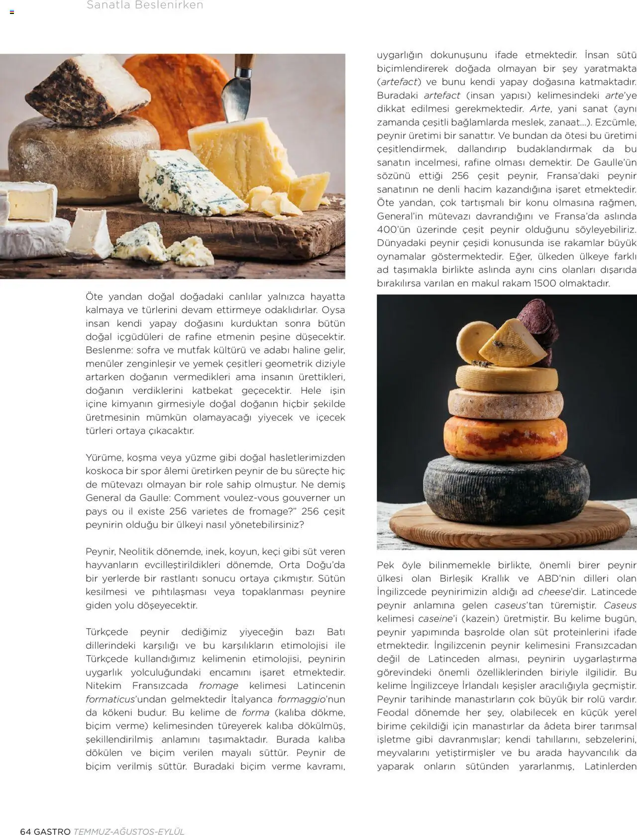 Metro Katalog Gastro Temmuz - Ağustos - Eylül 2025 - 01.07.2025 tarihinden itibaren geçerlidir | Sayfa: 64 | Ürünler: Süt, Peynir