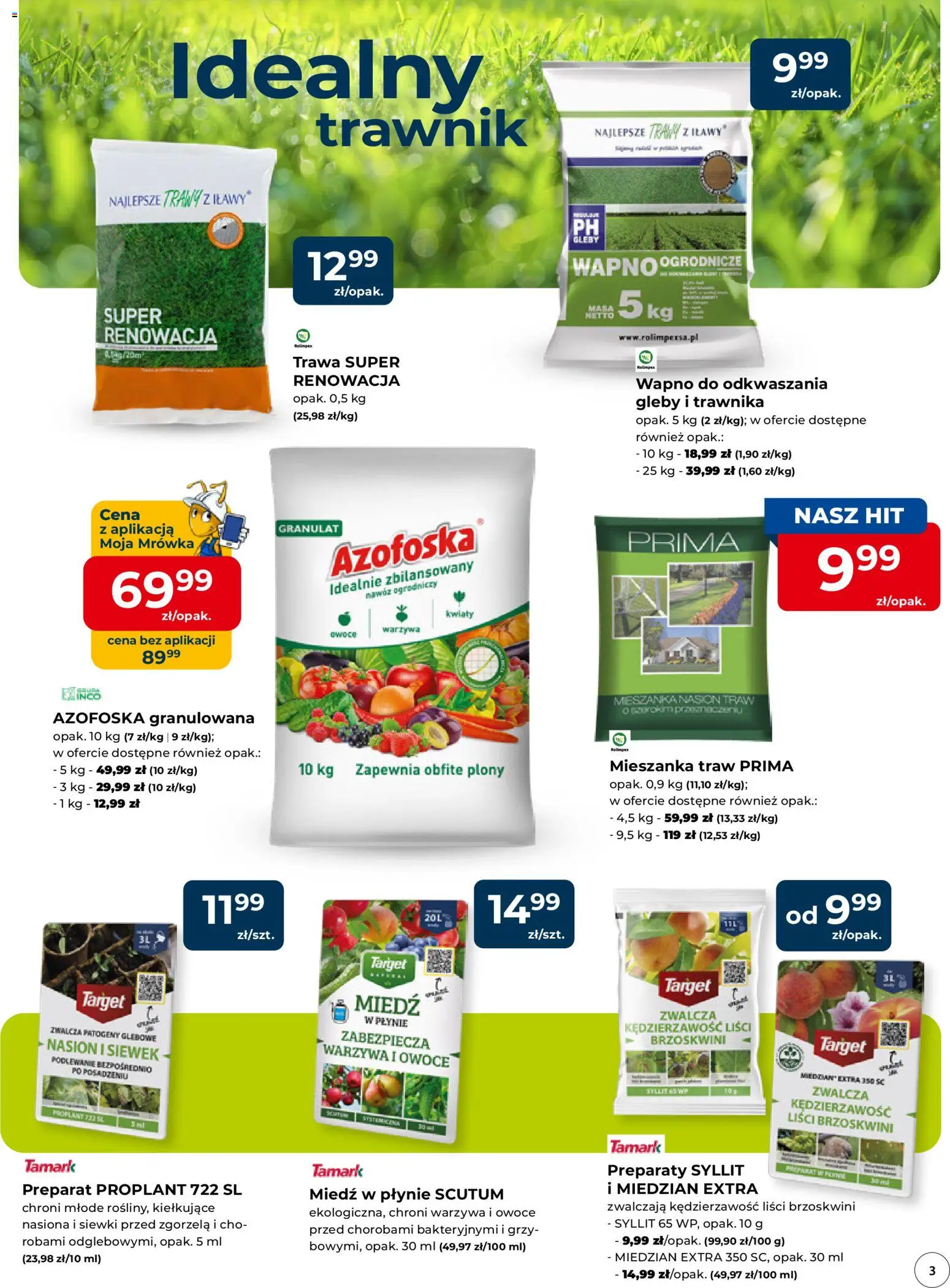 Mrówka gazetka - Radomsko od 12.03.2026 | Strona: 3 | Produkty: Nasiona, Kwiaty, Warzywa, Owoce