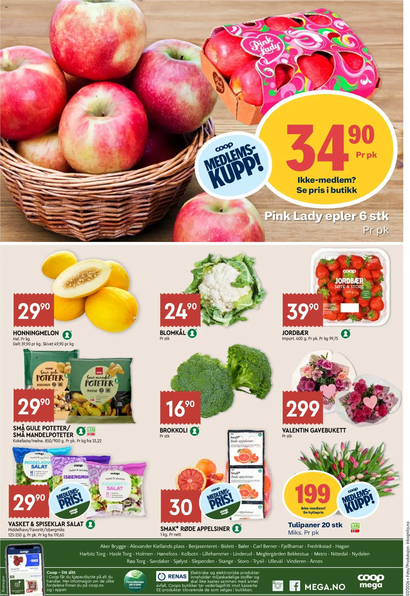 {H1} | Side: 8 | Produkter: Appelsiner, Jordbær, Salat, Poteter