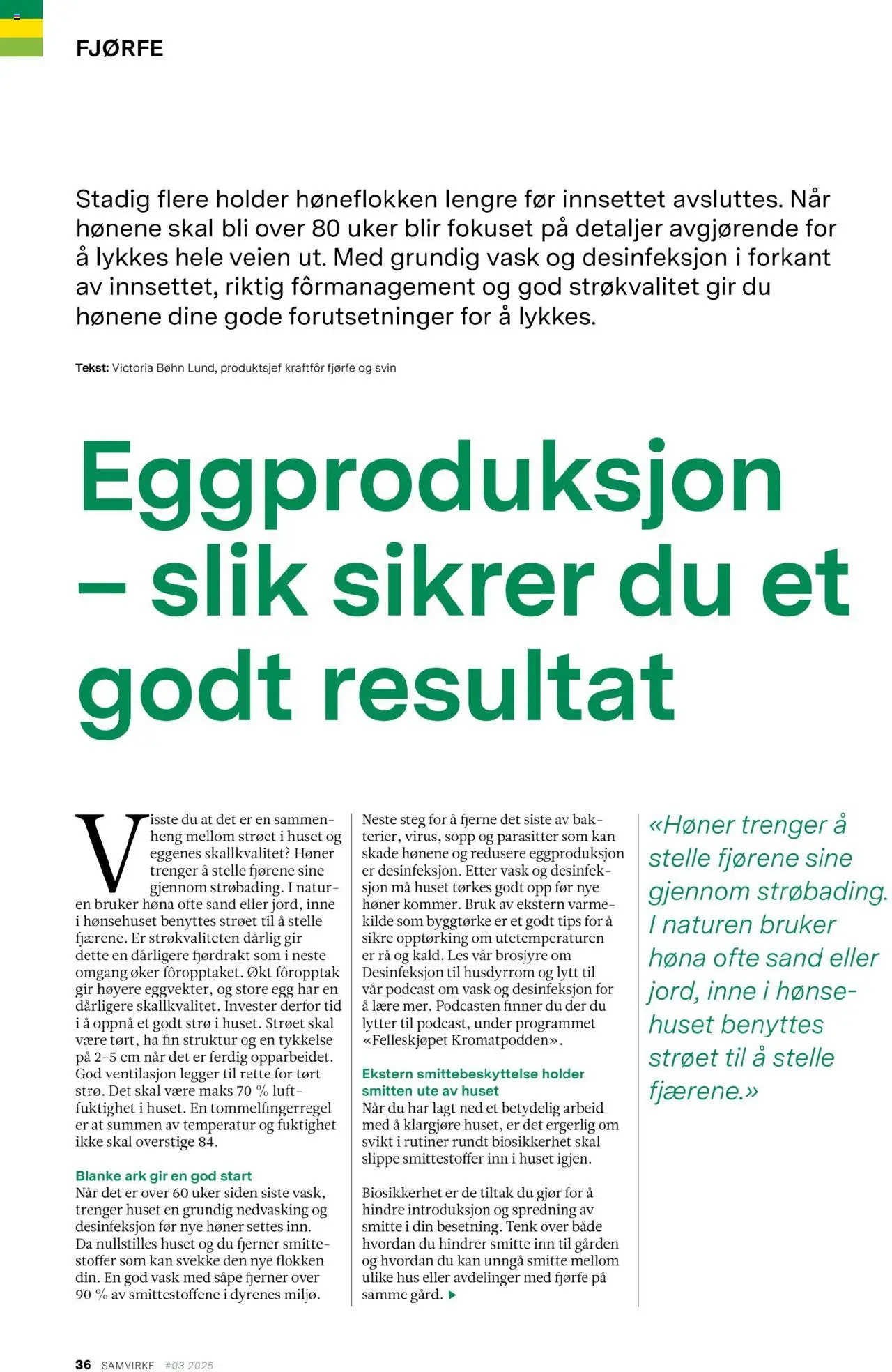  | Side: 36 | Produkter: Såpe, Egg, Vask, Sopp