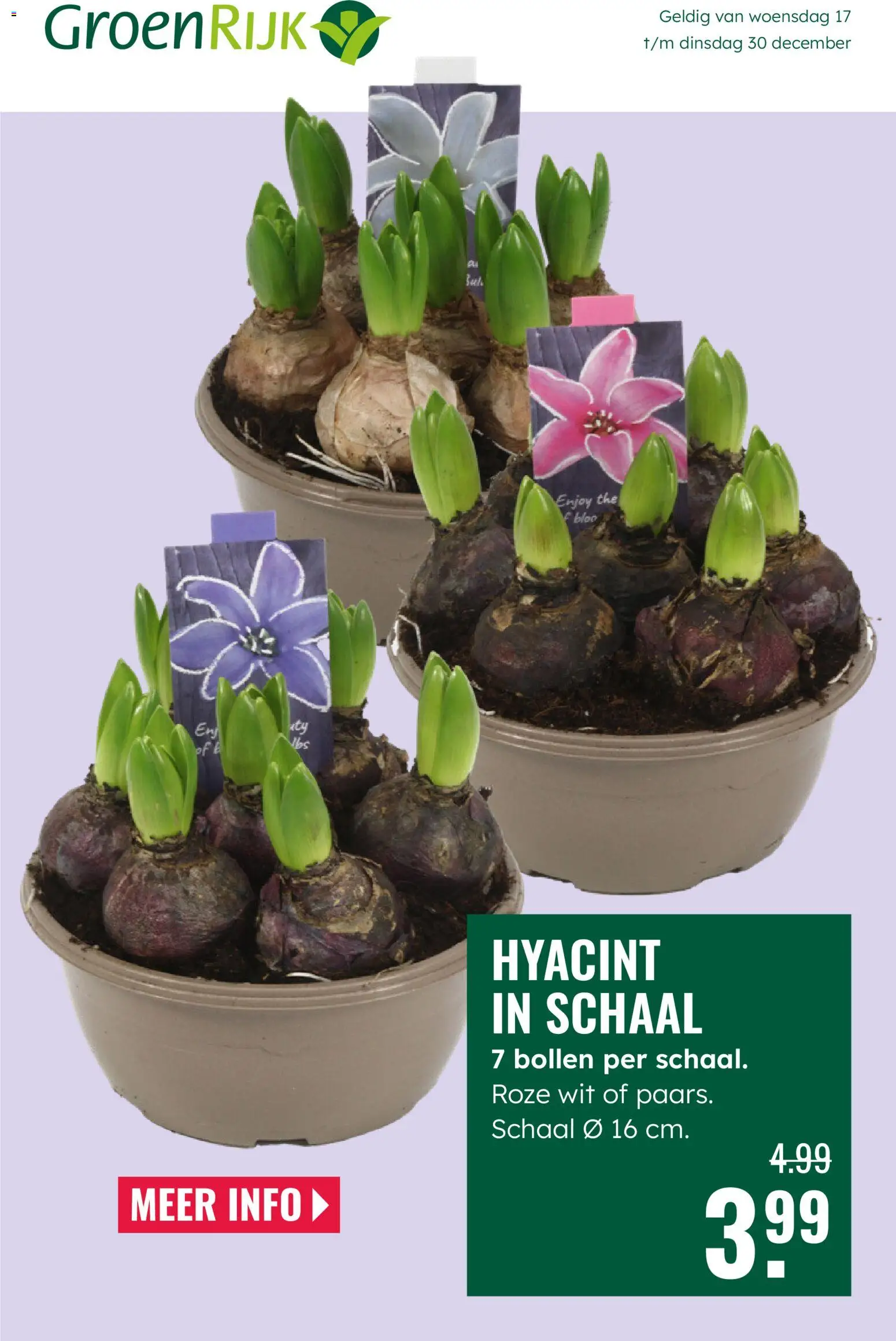 {H1} | Pagina: 1 | Producten: Schaal