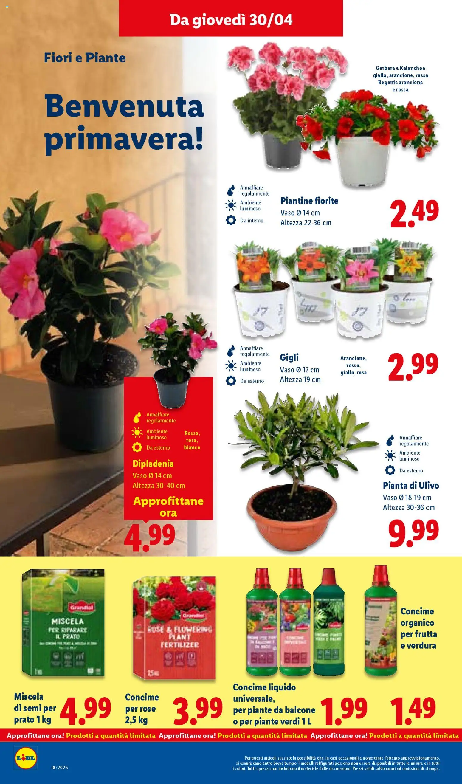 Volantino Lidl del 30.04.2026 | Pagina: 32 | Prodotti: Concime, Frutta, Olive, Vaso