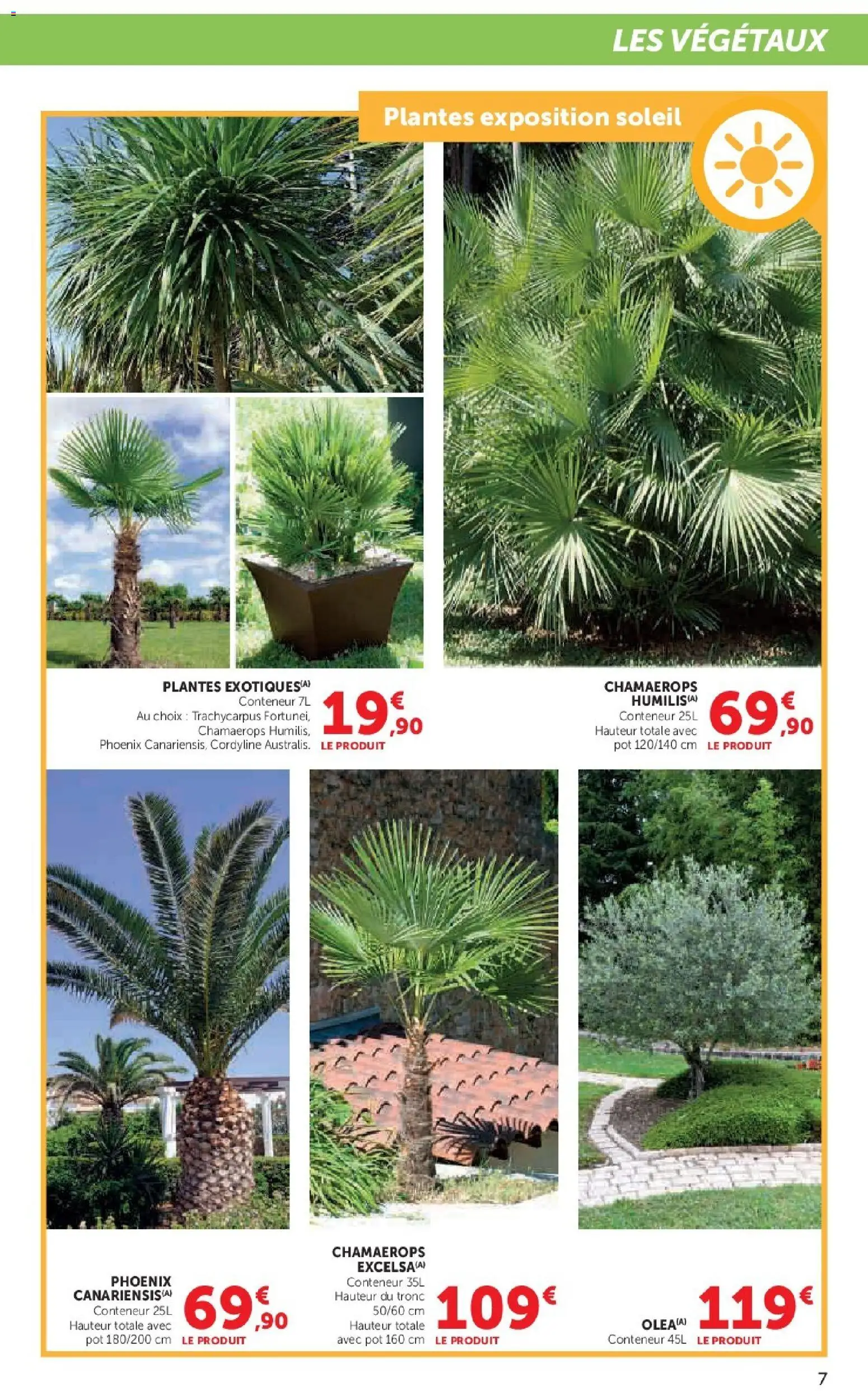 {H1} | Page: 7 | Produits: Plantes