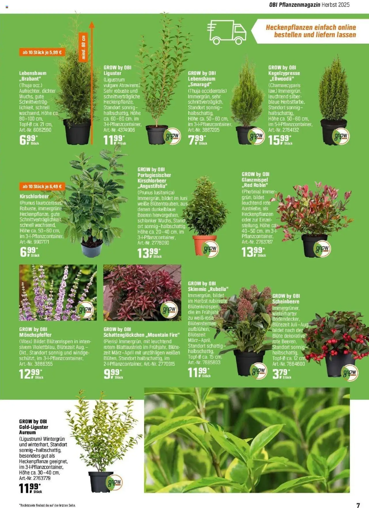 Obi Herbstgartenmagazin – gültig ab 01.09.2025 | Seite: 7