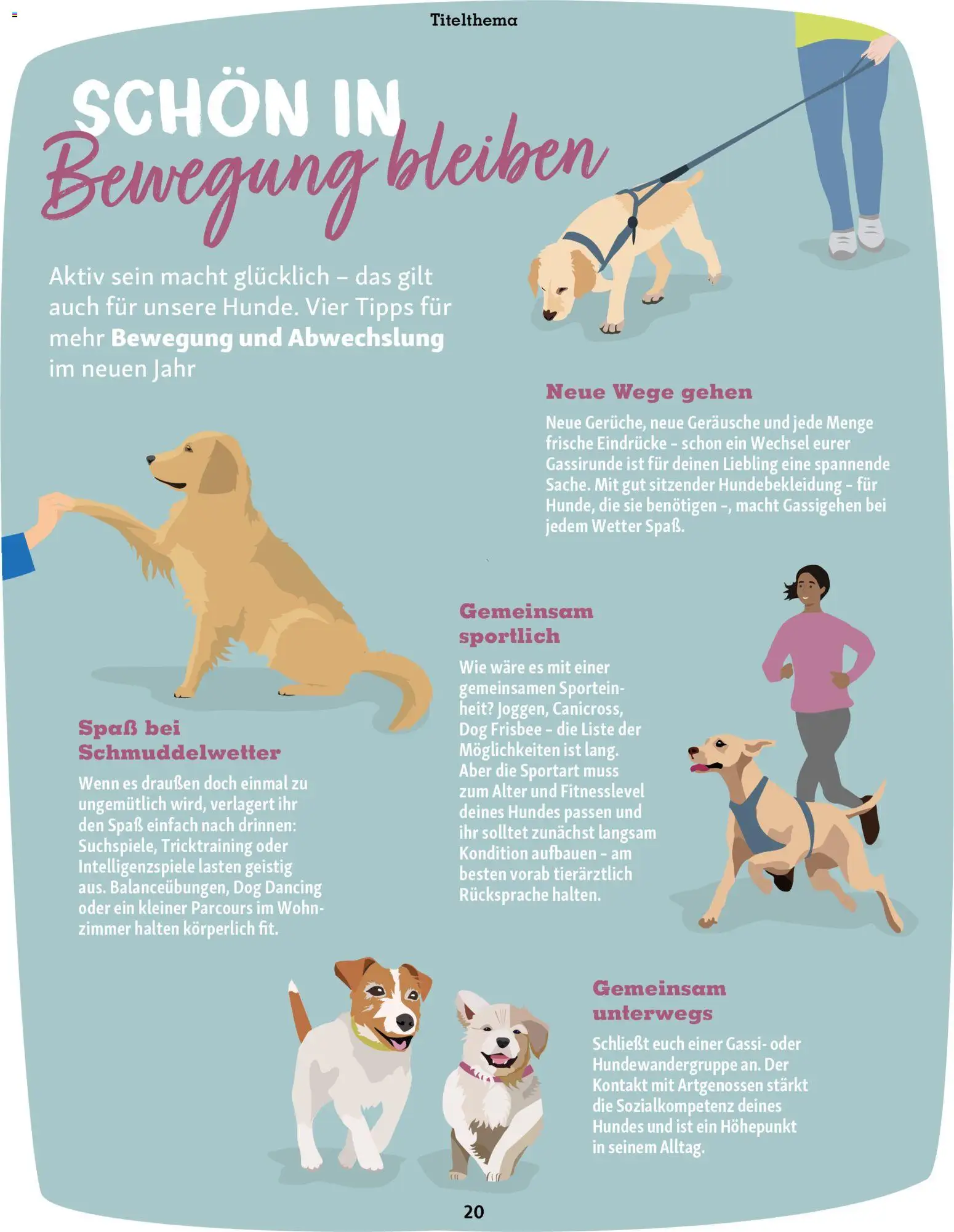 Fressnapf Friends Magazin – gültig ab 01.01.2026 | Seite: 20