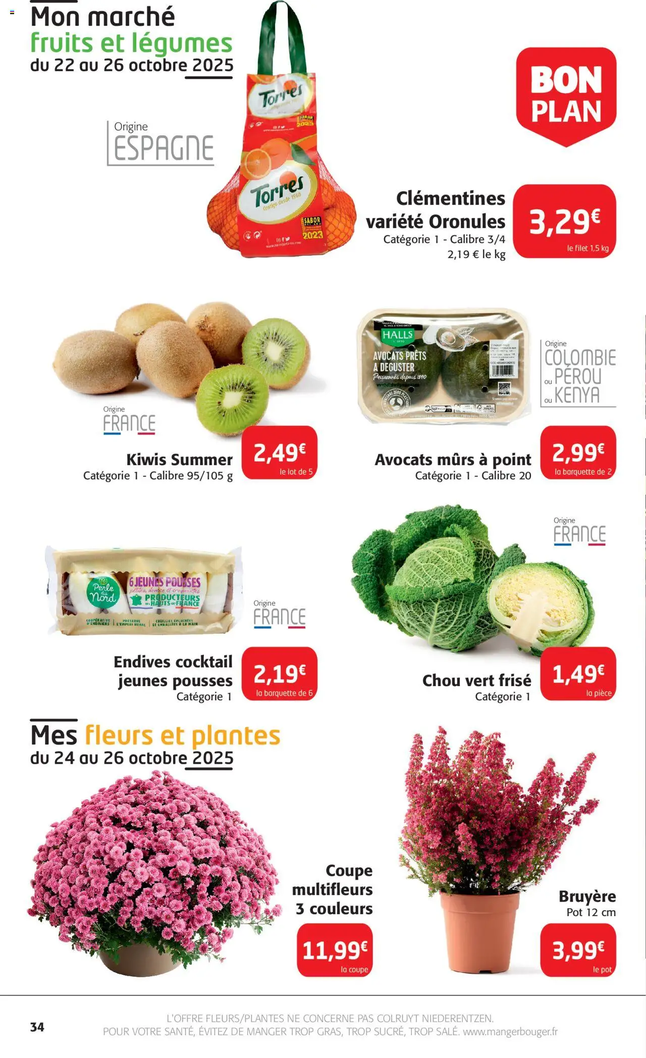{H1} | Page: 34 | Produits: Avocats, Plantes, Fleurs et plantes, Endives