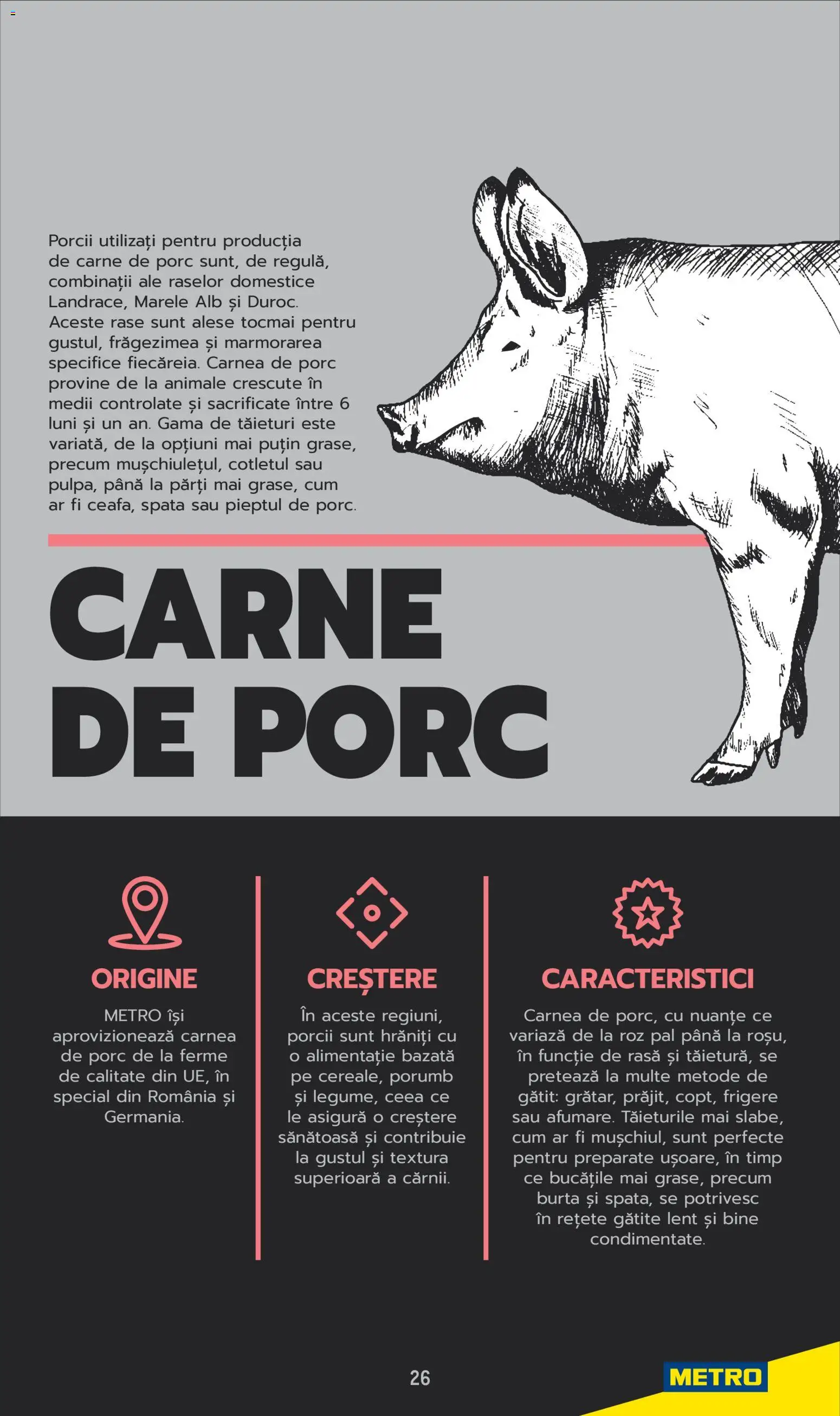 Noul catalog Metro – valabil de la 03.06.2025 | Pagină: 26 | Produse: Carne De Porc, Porumb