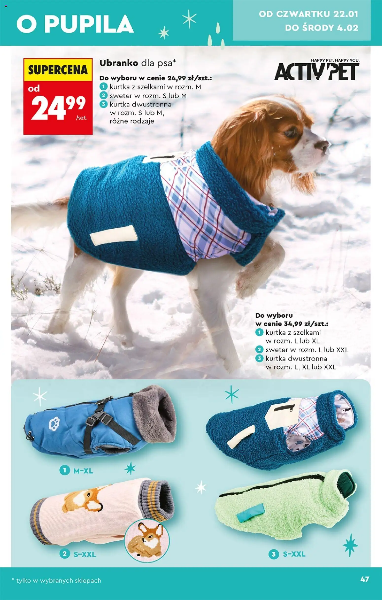 Biedronka gazetka - Hity i inspiracje od 17.01.2026 | Strona: 49 | Produkty: Akcesoria samochodowe, Fotel