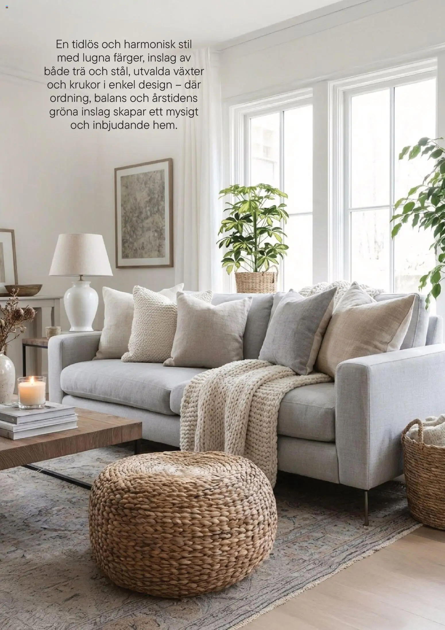 Plantagen reklamblad aktuell från 13.01.2026 | Sida: 23