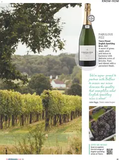Preview of Tesco - Tesco Magazine March 2026 valid from 01.03.2026 | Page: 45 | Products: Riska sajt, Wine, Lemon
