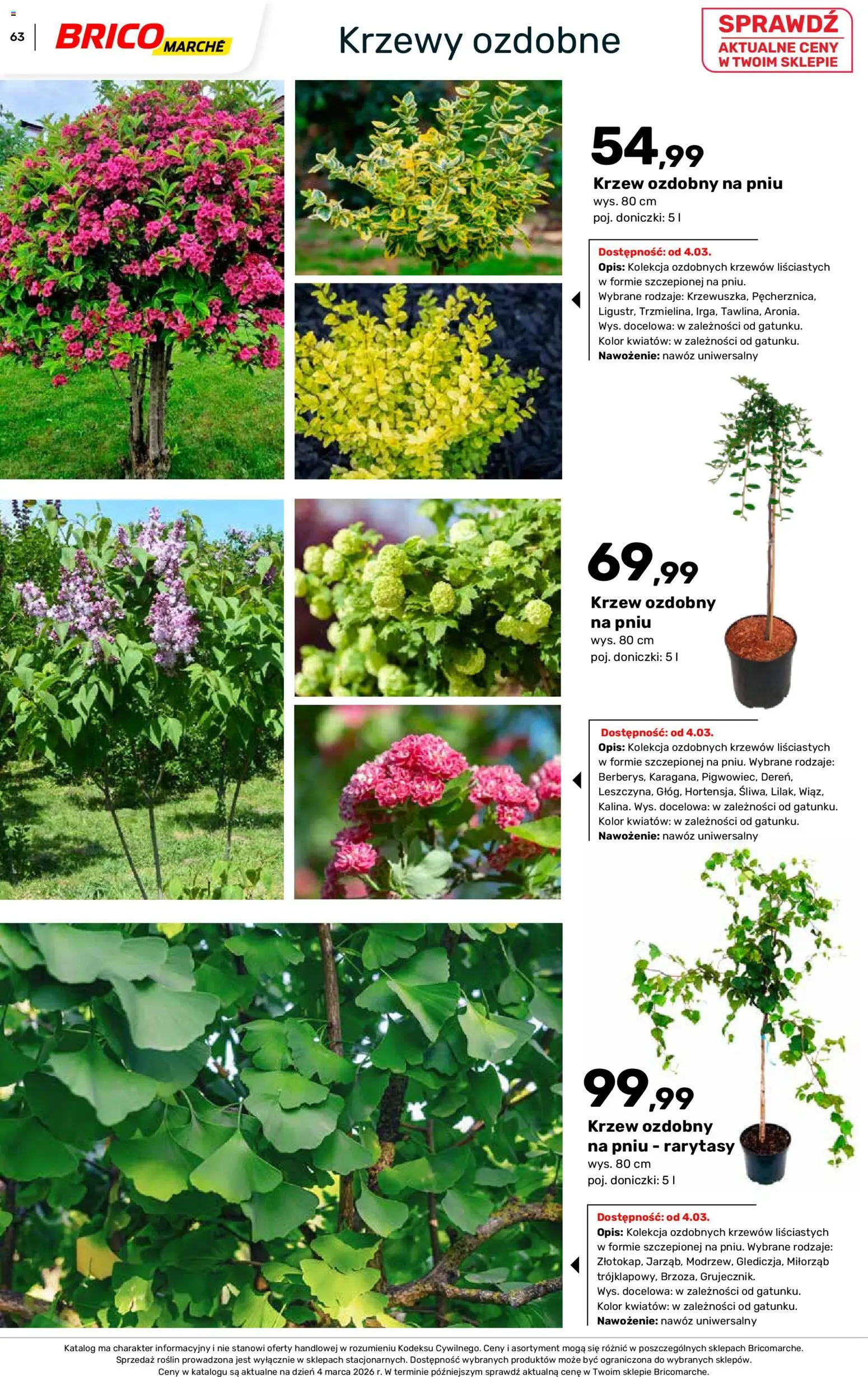 Brico Marché gazetka - Wiosna od 04.03.2026 | Strona: 63 | Produkty: Doniczki