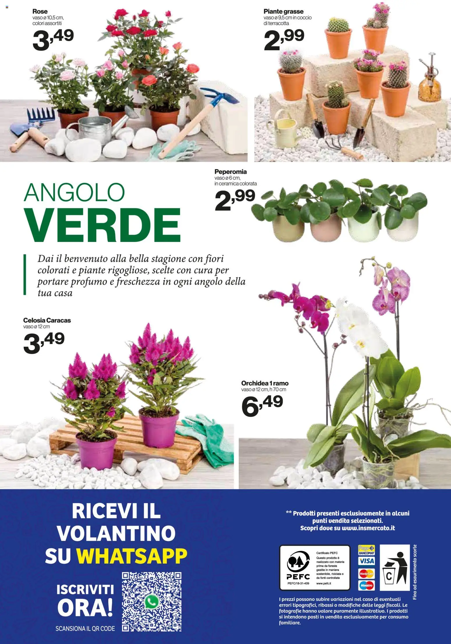 Volantino IN's del 08.04.2026 | Pagina: 24 | Prodotti: Orchidea, Vaso, Profumo