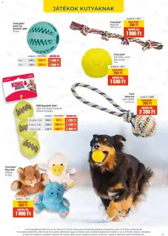 AlphaZoo Akciós újság - amely érvényes a következő dátumtól: 26.01.2026 | Oldal: 13