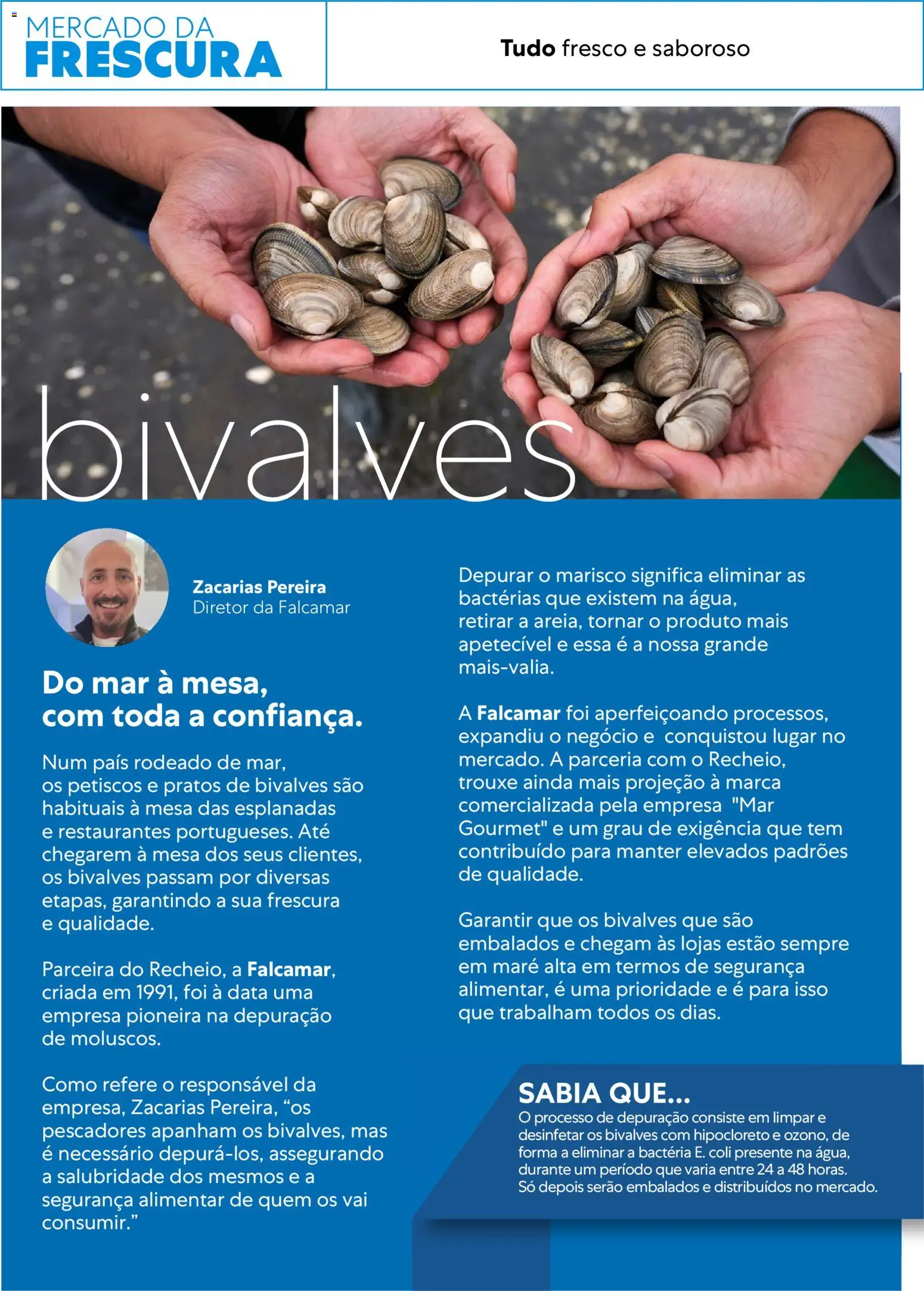 Recheio - Horeca Bons Negócios │ válido de 10.02.2026 | Página: 4 | Produtos: Pratos, Mesa