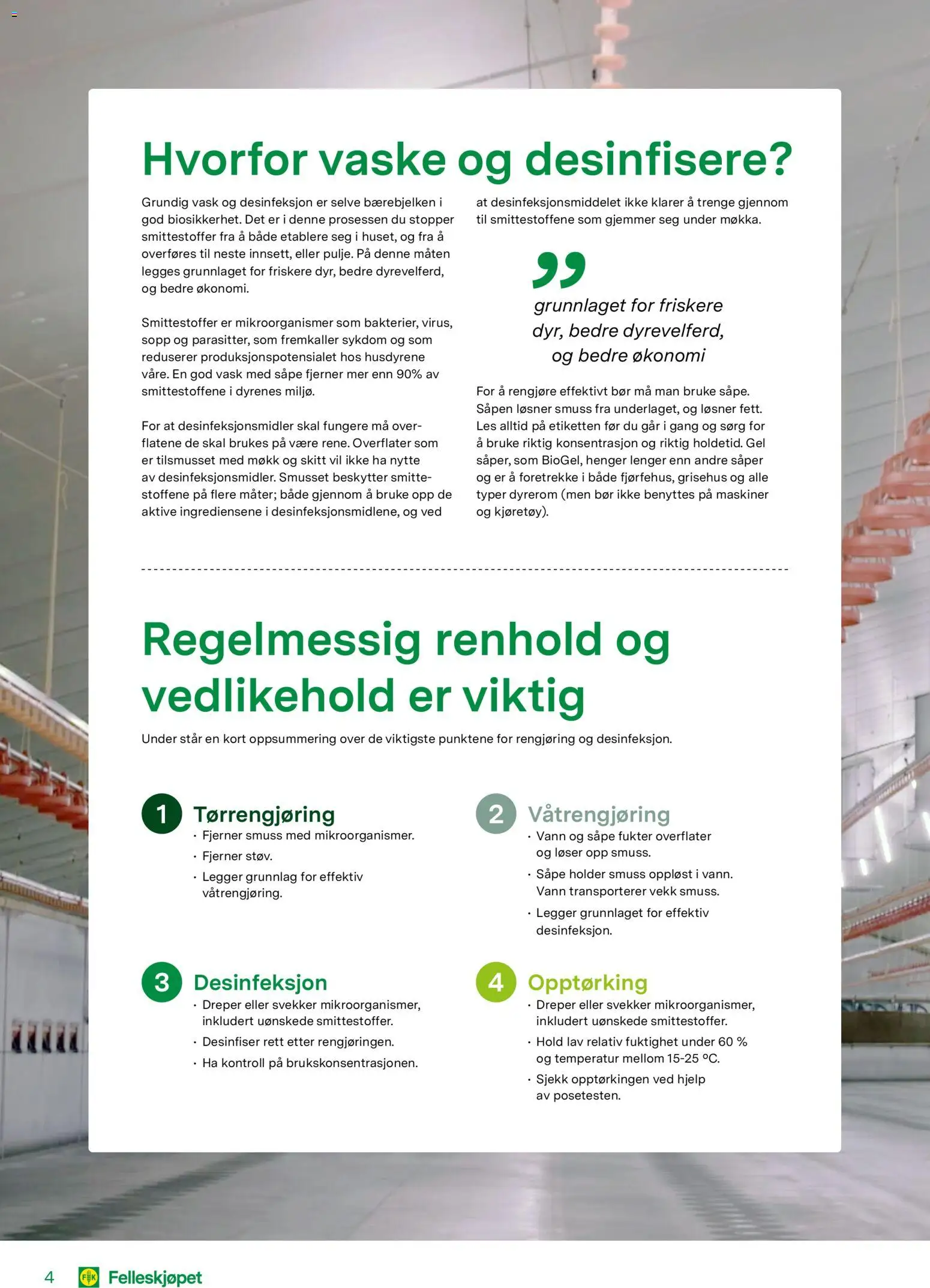 {H1} | Side: 4 | Produkter: Såpe, Vask, Вермішель, Sopp