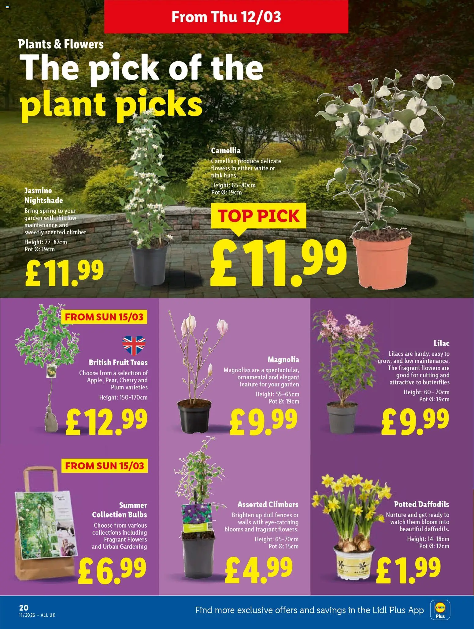 {H1} | Page: 22 | Products: Pot, Watch