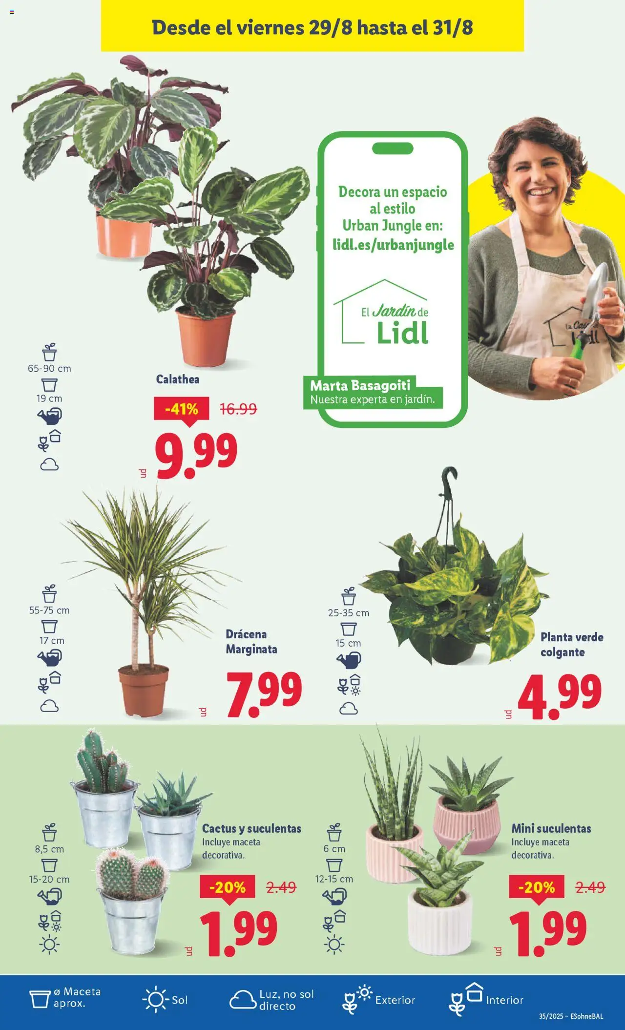 Lidl catálogo VAL │ válido desde el 25.08.2025 | Página: 25 | Productos: Maceta