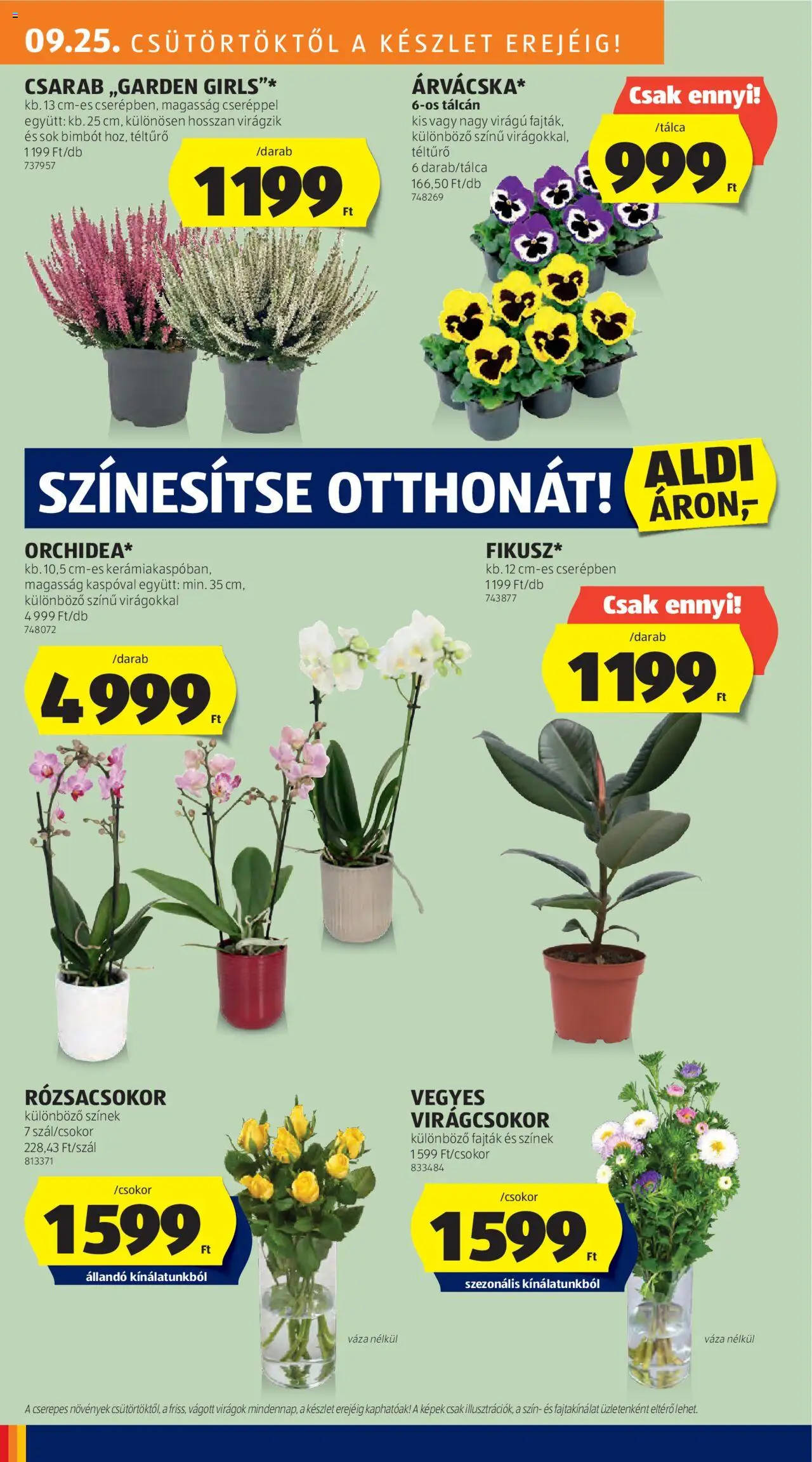 Aldi akciós ujság - amely érvényes a következő dátumtól: 25.09.2025 | Oldal: 8 | Termékek: Virágok, Váza