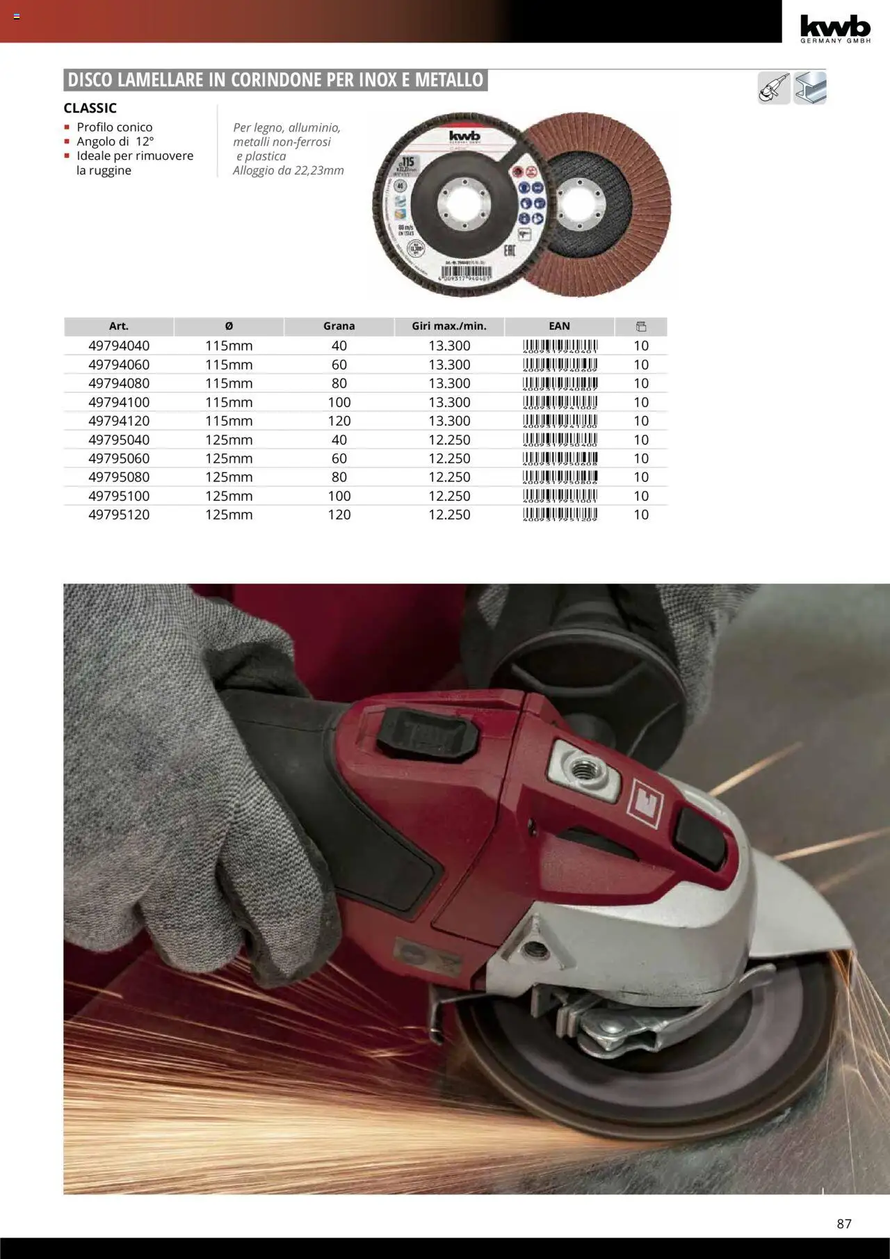 Volantino Einhell del 10.10.2025 | Pagina: 89 | Prodotti: Disco