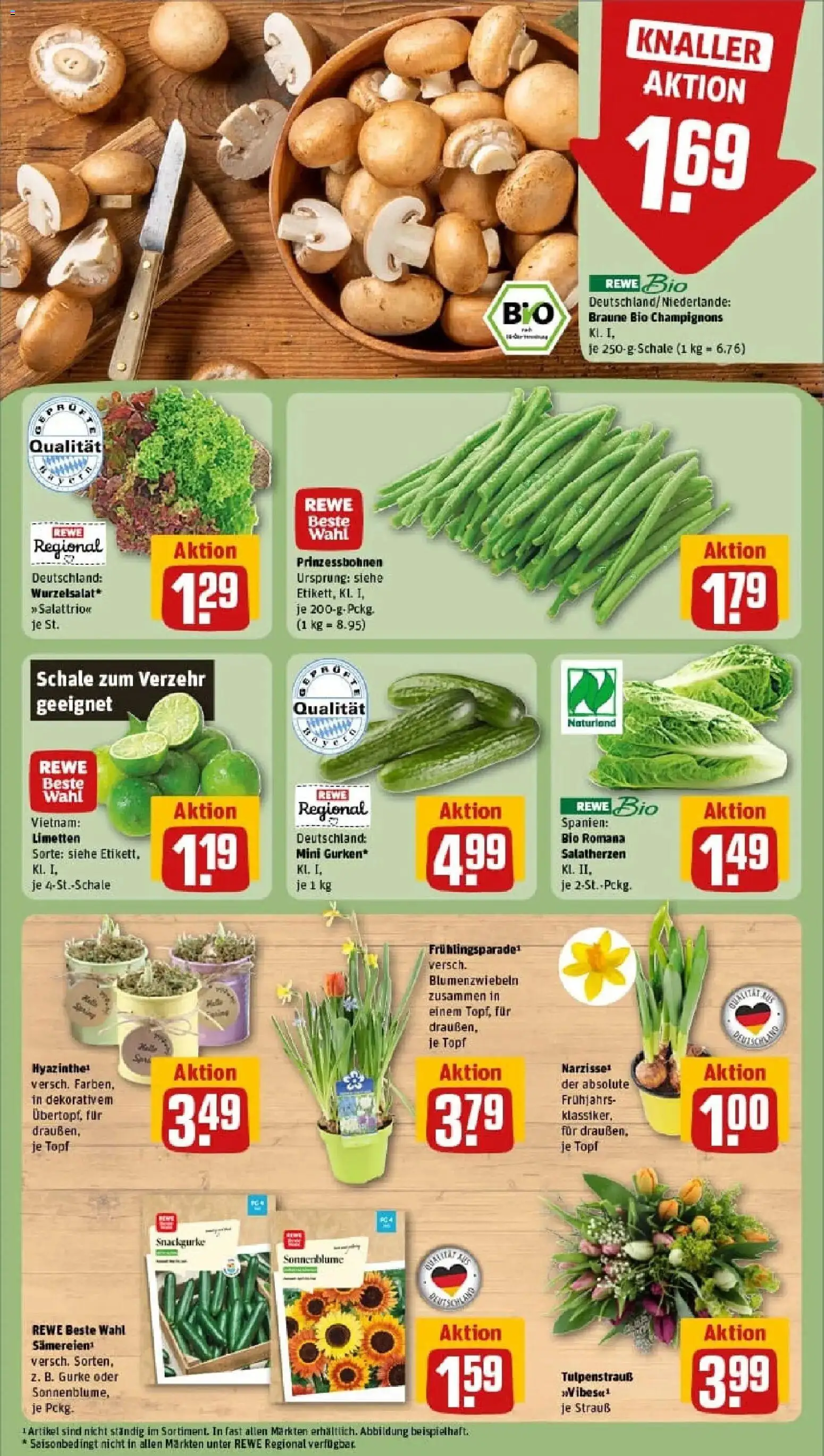 Rewe prospekt Grafenau	 – gültig ab 02.02.2026 | Seite: 9 | Produkte: Limetten, Champignons