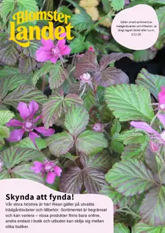 Blomsterlandet - erbjudanden - Förhandsvisning av reklamblad från butik Blomsterlandet aktuell från 01.10.2025