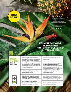 Albert Heijn - NoLow Magazine 2025 - Voorbeeld van een folder van Albert Heijn, geldig van 28.04.2025 | Pagina: 21