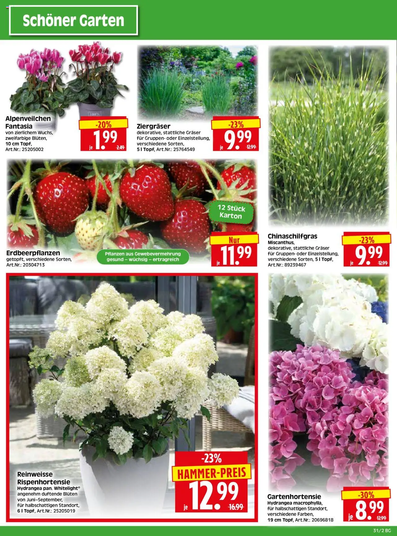 HERKULES  Bau & Garten - gültig ab dem 28.07.2025 | Seite: 2