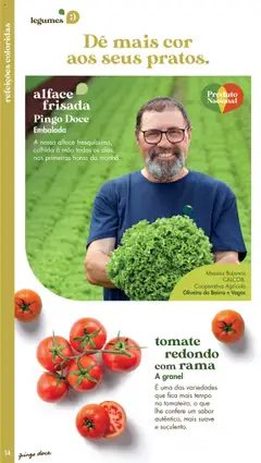 alface frisada, Embalada. A nossa alface fresquíssima, colhida à mão todos os dias, nas primeiras horas da manhã. │ válido de 20.05.2025 | Página: 14 | Produtos: Tomate, Alface