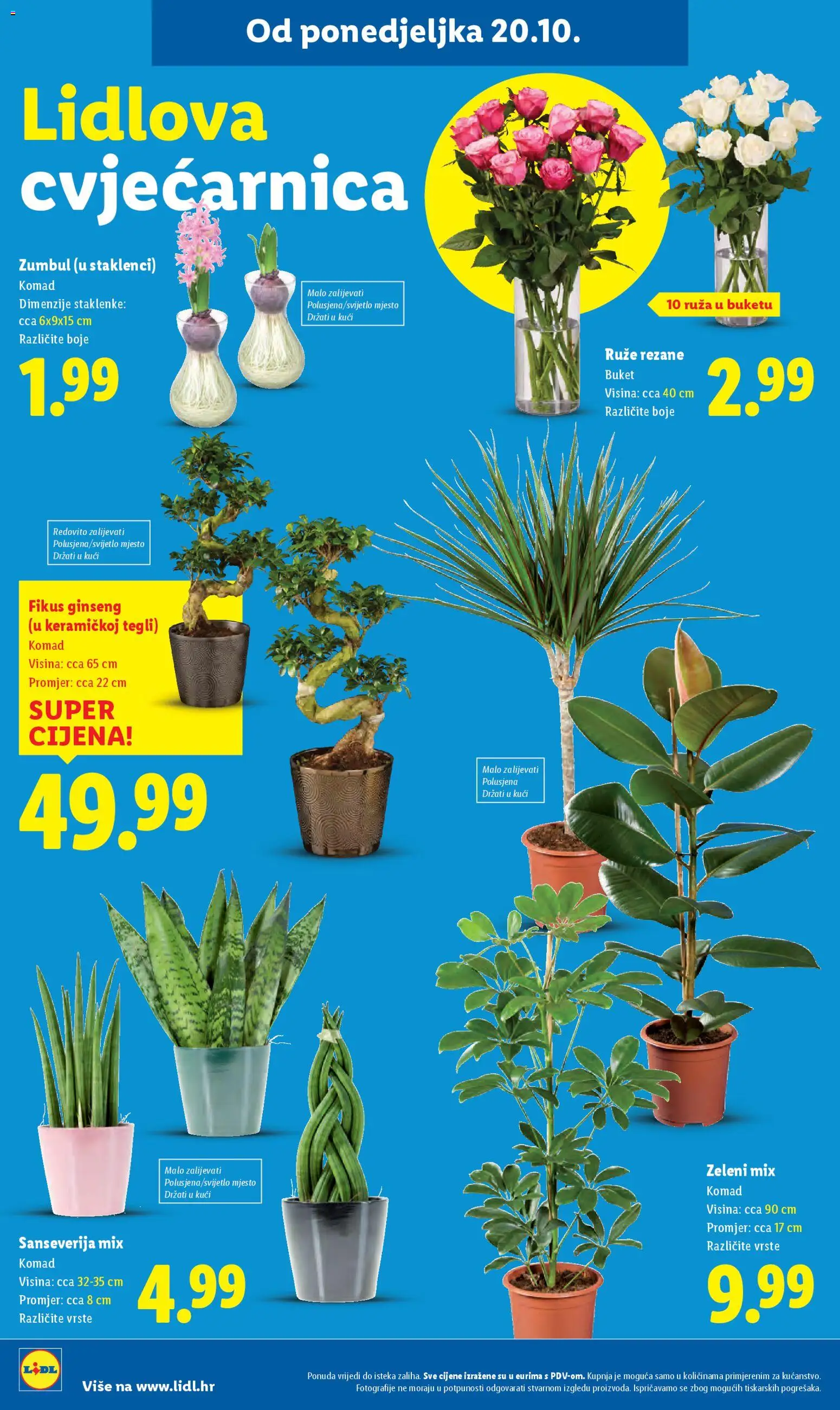 Lidl katalog | vrijedi od 23.10.2025 | Stranica: 30 | Proizvodi: Staklenke