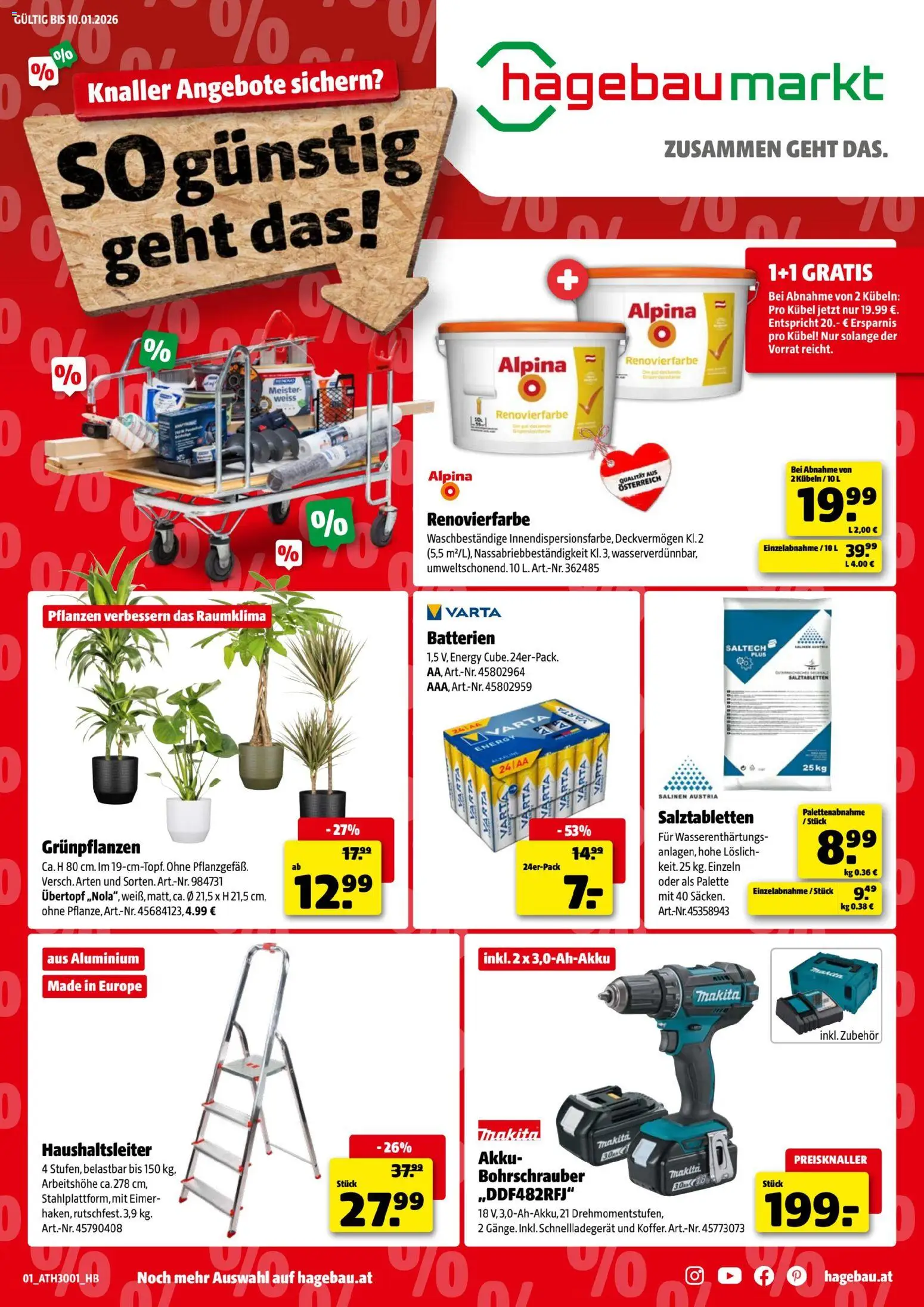 Hagebau Flugblatt gültig ab 29.12.2025 | Seite: 1