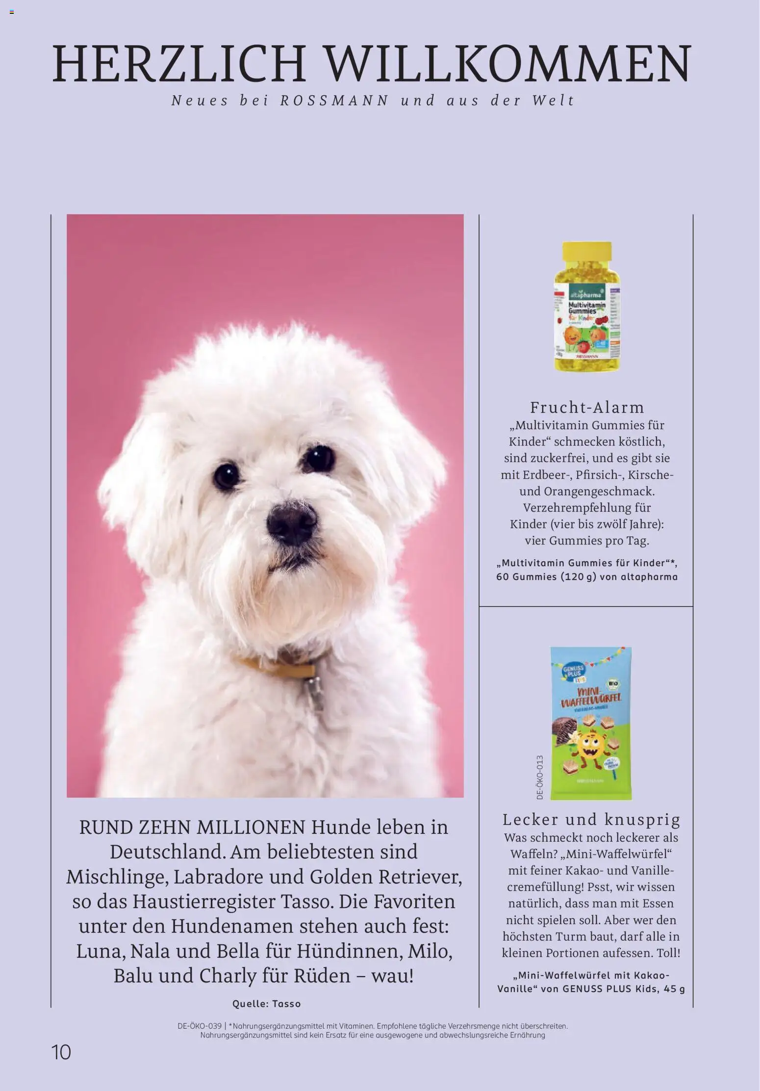 Rossmann Centaur | 01.04.2026 | Wie erhält man einen begrenzten Rabatt? | Deutschland