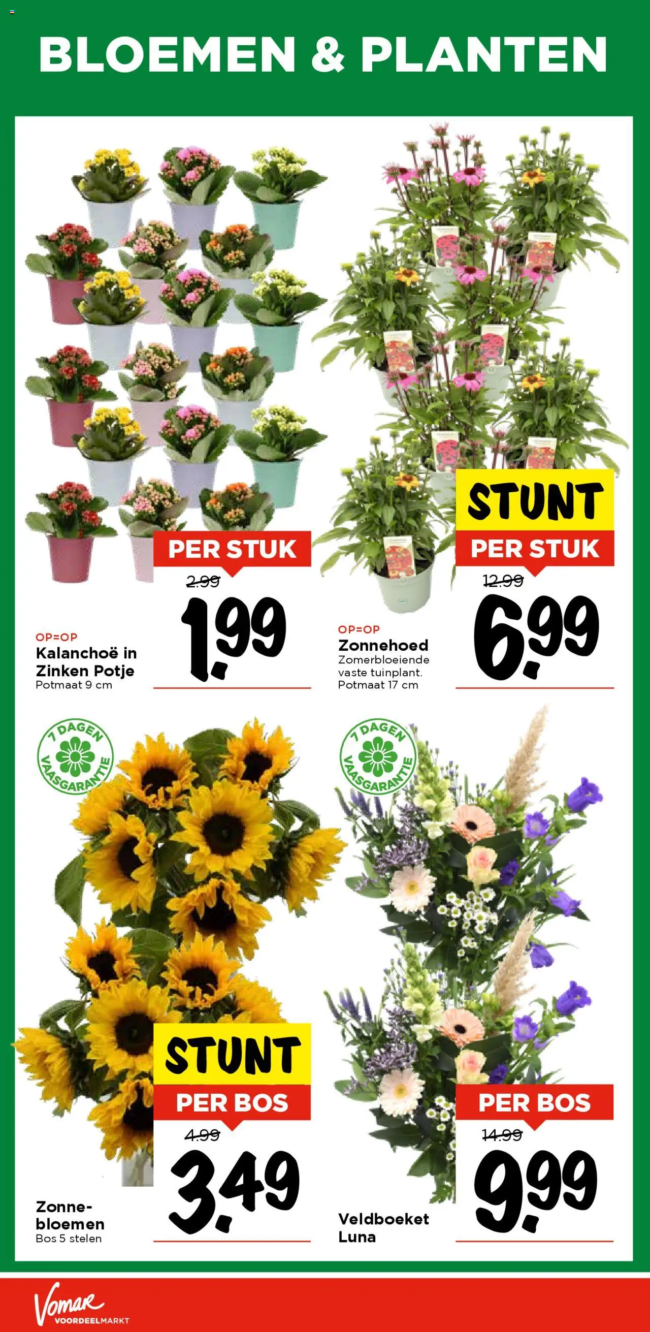  | Pagina: 25 | Producten: Bloemen
