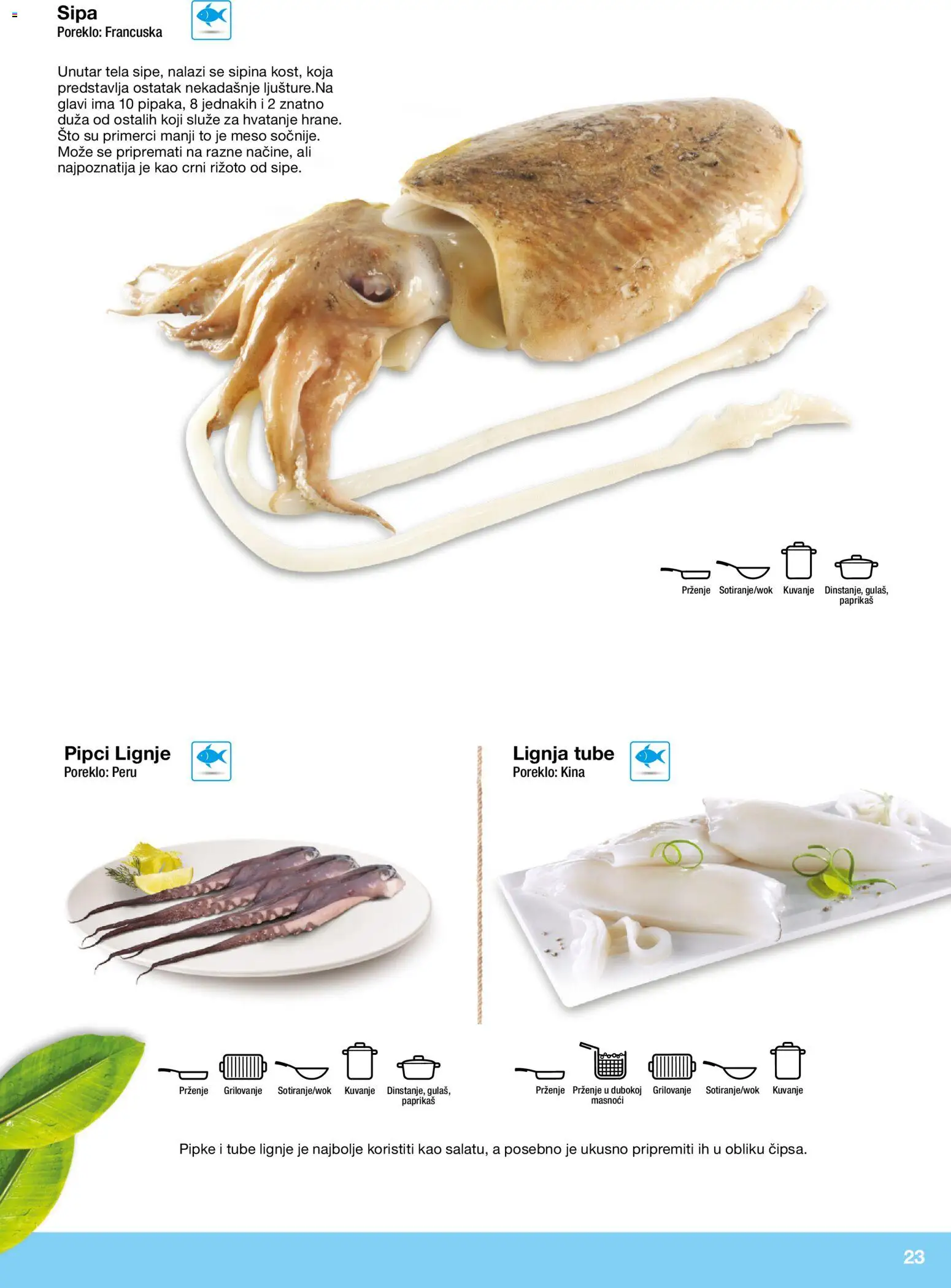 Metro katalog - važi od 10.12.2025 | Strana: 23 | Proizvode: Sto