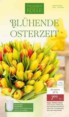 Pflanzen-Kölle - Pflanzen-Kölle: Blühende Osterzeit ab 30.03.2026 gültig