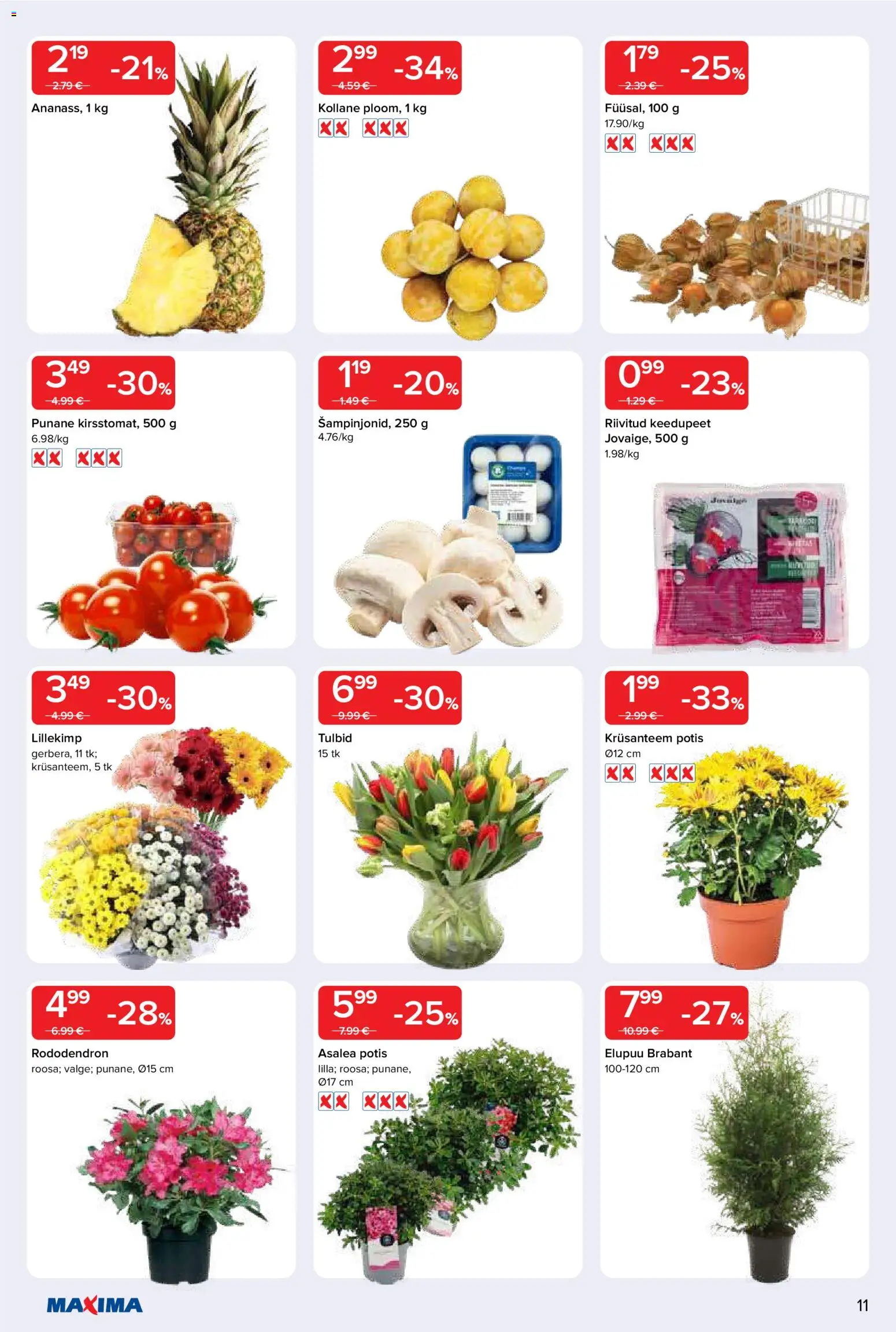 {H1} | Lehekülg: 11