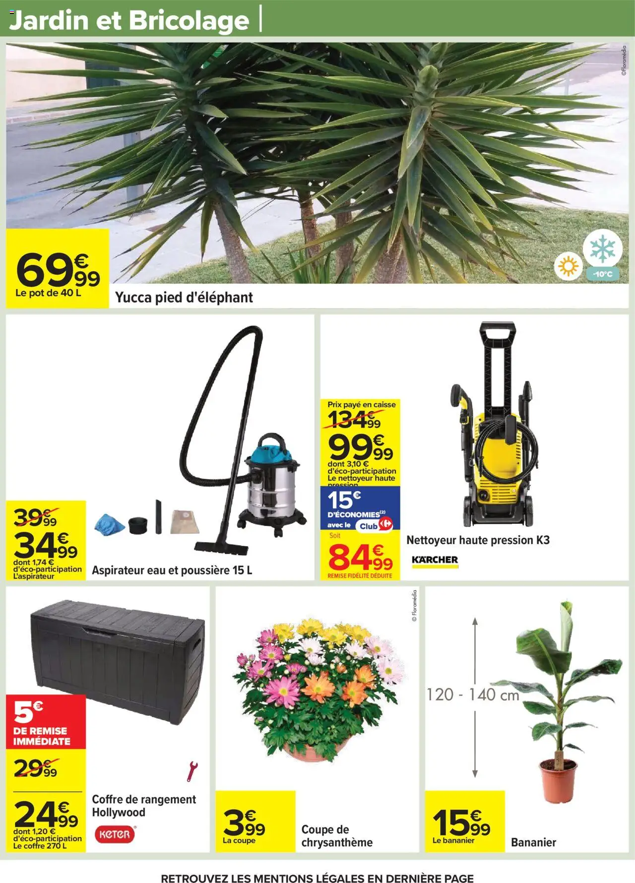  | Page: 77 | Produits: Bananier, Chrysanthème, Aspirateur eau et poussière, Coffre de rangement