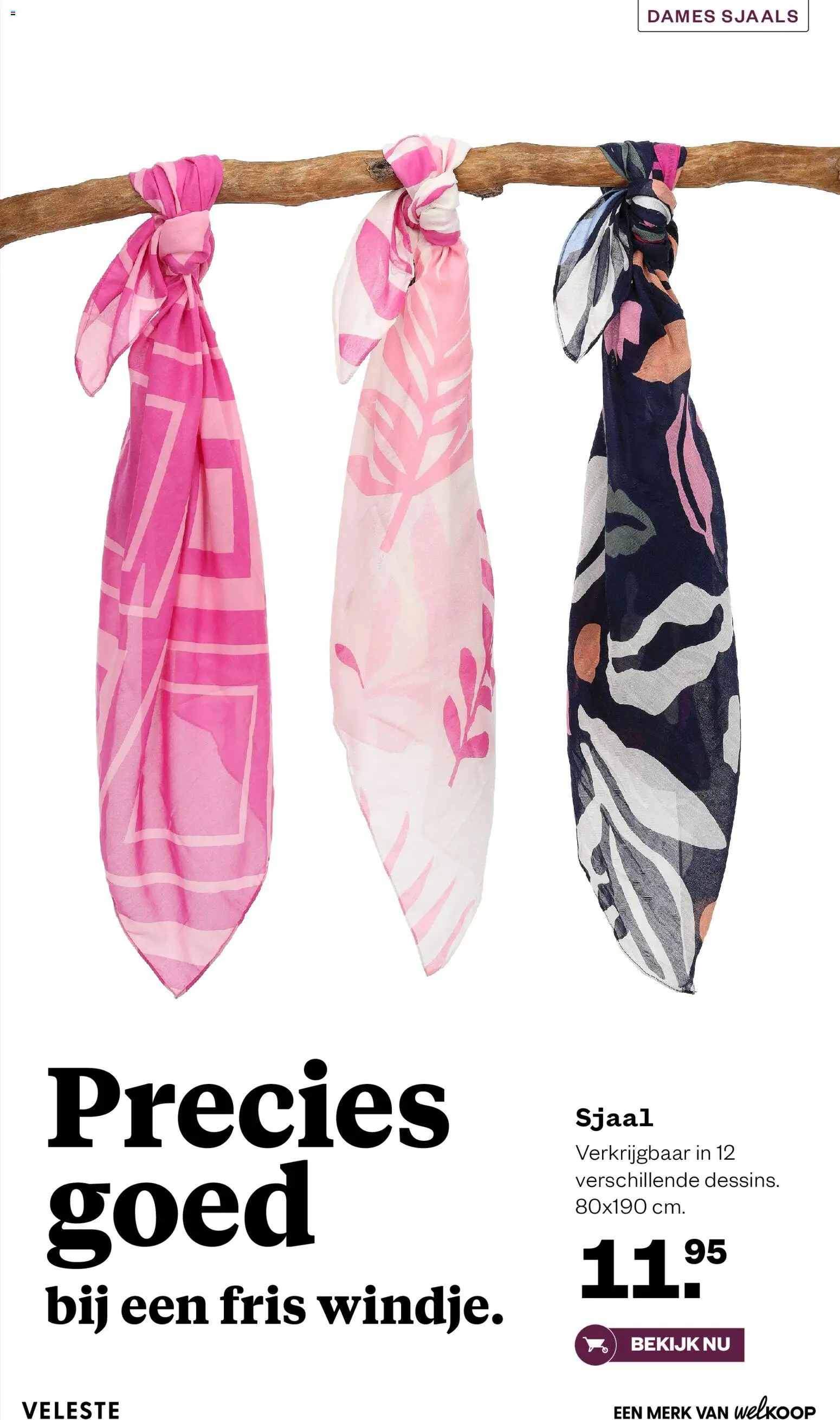 {H1} | Pagina: 31 | Producten: Sjaal