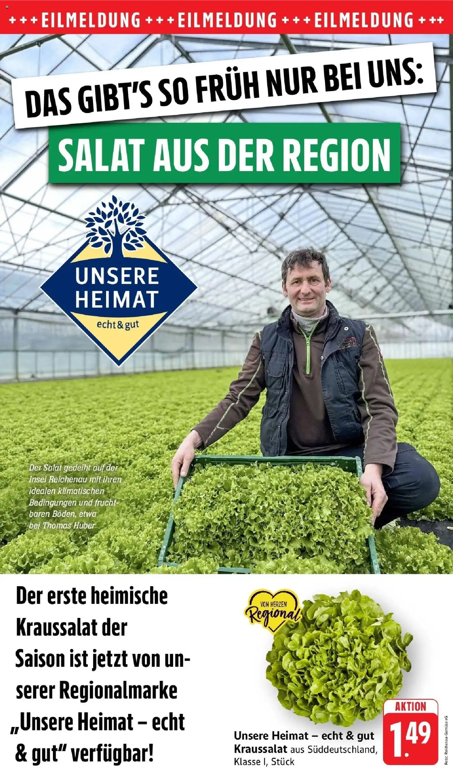Edeka prospekt Piesport	 – gültig ab 09.03.2026 | Seite: 7 | Produkte: Salat