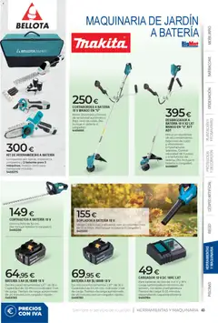 Vista previa BigMat - Jardin y Piscinas 2026 válido desde el 23.03.2026 | Página: 43 | Productos: Desbrozadora, Cortasetos, Ρούτερ, Batería