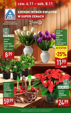 Pogląd oferty "Aldi Gazetka - Kwiaty w super cenach" - ważna od 06.11.2025