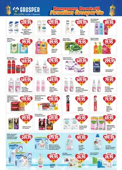 27.02.2026 tarihinden itibaren geçerli olan Grosper kataloğu önizlemesi | Sayfa: 17