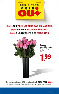 LIDL - Prévisualisation de LIDL catalogue semaine 43 valide à partir de 23.10.2025 | Page: 28