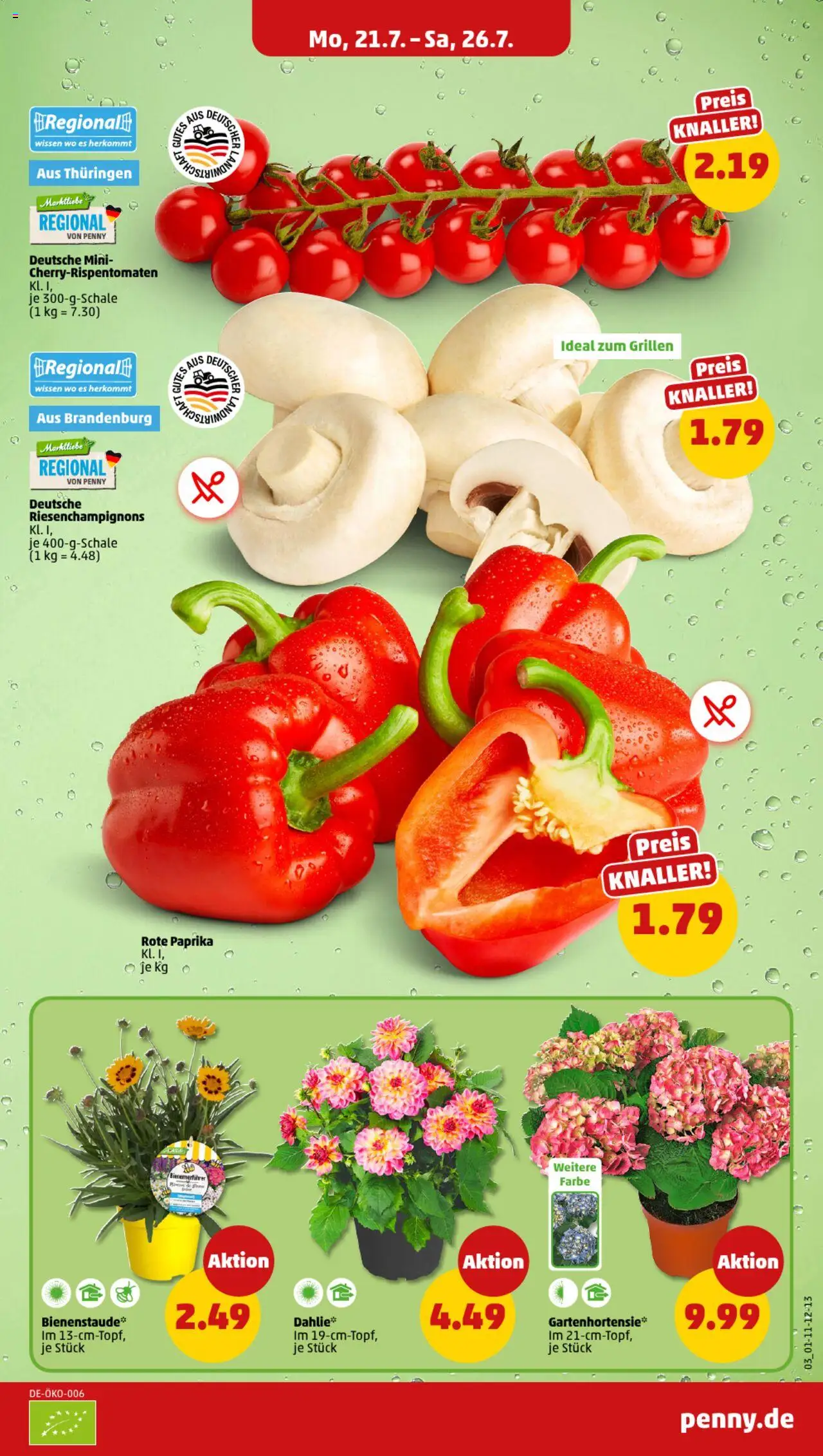 Penny Prospekt 	 - gültig ab dem 21.07.2025 | Seite: 3 | Produkte: Paprika