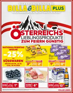 Billa Flugblatt - Salzburg ab 23.10.2025 gültig