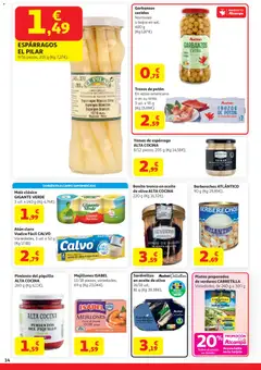 Vista previa Alcampo HP Unico válido desde el 21.04.2026 | Página: 14 | Productos: Sardinillas, Aceite, Νερό καρύδας, Κάδος απορρυμάτων